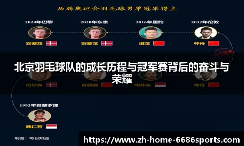 6686官方